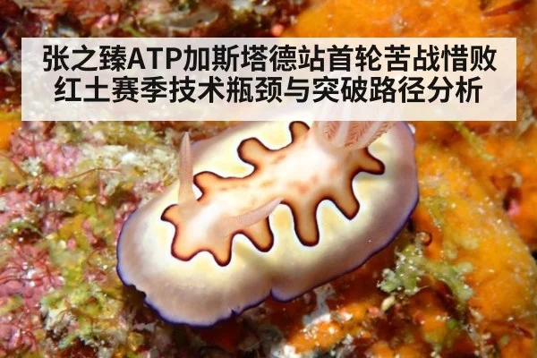 张之臻ATP加斯塔德站首轮苦战惜败 红土赛季技术瓶颈与突破路径分析