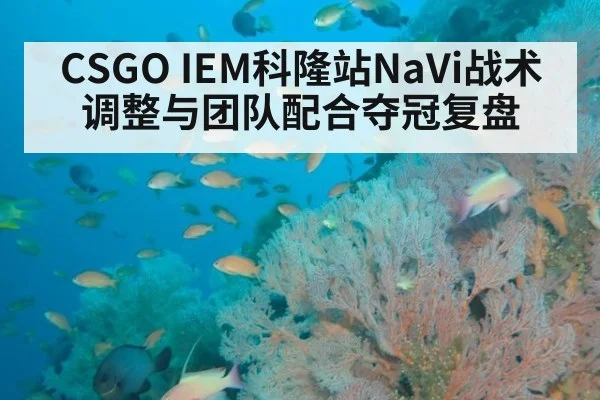 CSGO IEM科隆站NaVi战术调整与团队配合夺冠复盘