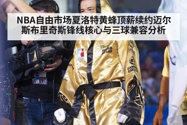 NBA自由市场夏洛特黄蜂顶薪续约迈尔斯布里奇斯锋线核心与三球兼容分析